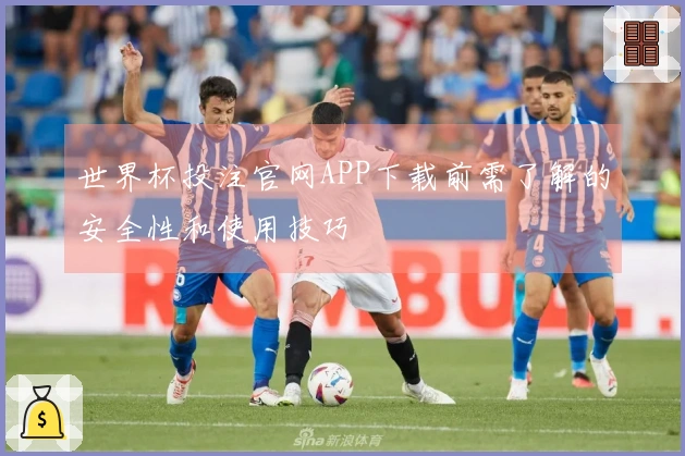 世界杯投注官网APP下载前需了解的安全性和使用技巧