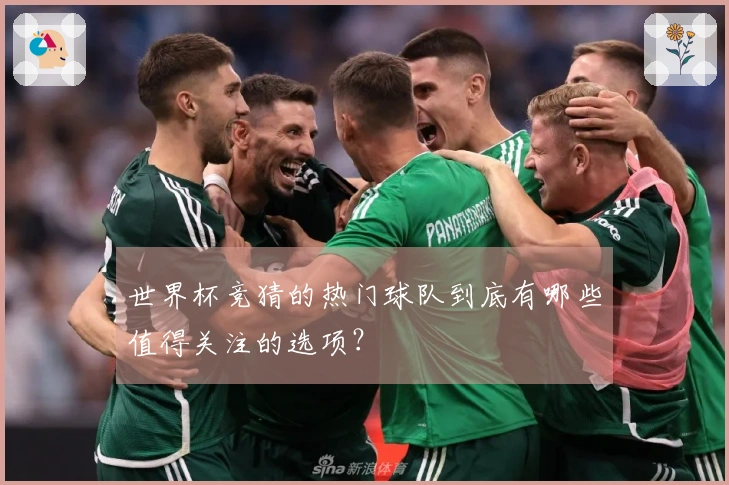 世界杯竞猜的热门球队到底有哪些值得关注的选项？