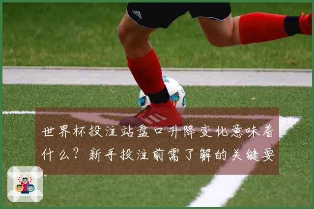 世界杯投注站盘口升降变化意味着什么？新手投注前需了解的关键要素