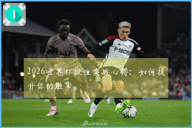 2026世界杯投注实战心得：如何提升你的胜率