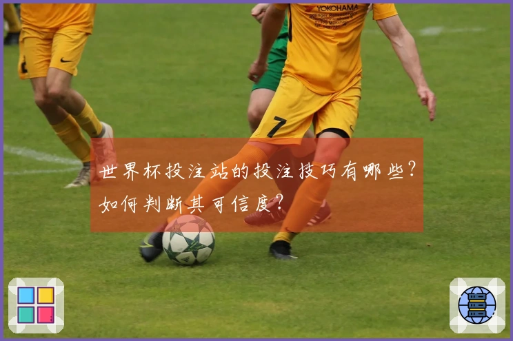 世界杯投注站的投注技巧有哪些？如何判断其可信度？