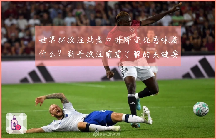 世界杯投注站盘口升降变化意味着什么？新手投注前需了解的关键要素