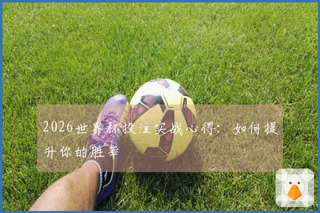 2026世界杯投注实战心得：如何提升你的胜率